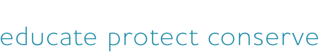 MotherOceanBlue — educate protect conserve