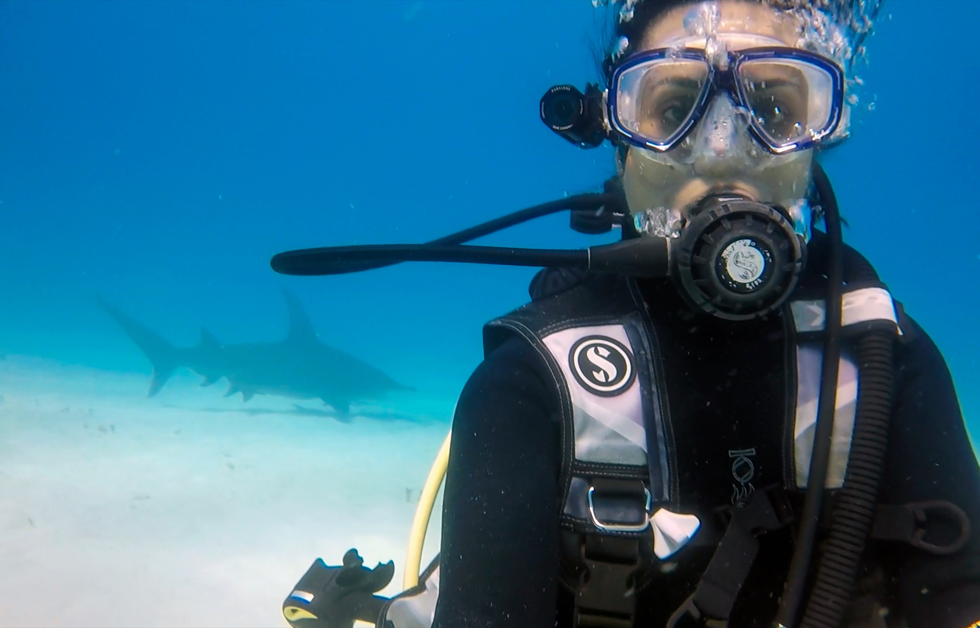 Zakia underwater in a dive mask, a large shark swimming behind her along the sandy seabed
