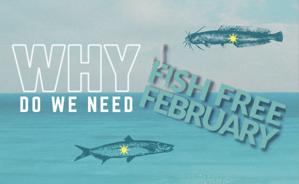 Title image for the Fish Free February 2023 Campaign